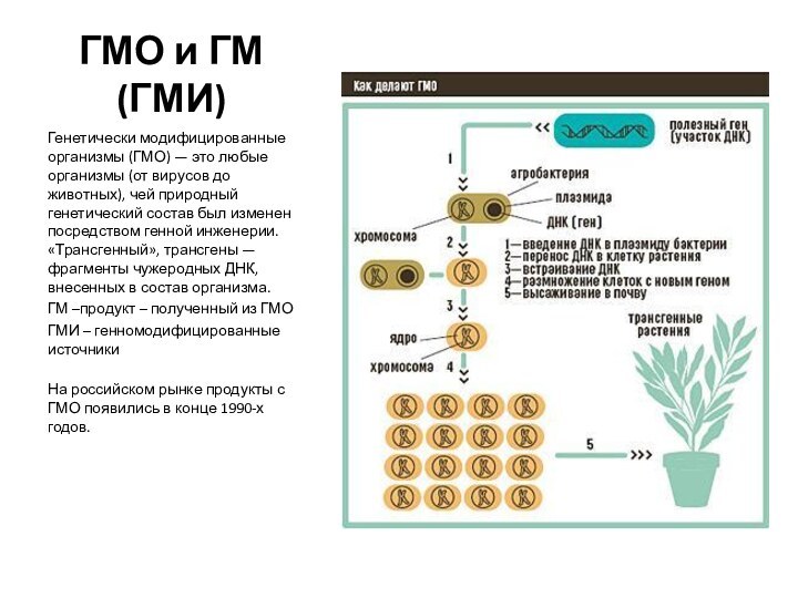 ГМО и ГМ (ГМИ)Генетически модифицированные организмы (ГМО) — это любые организмы (от