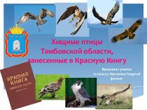 Хищные птицы Тамбовской области, занесенные в Красную Книгу