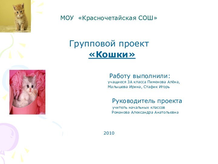 МОУ «Красночетайская СОШ»Групповой проект  «Кошки»