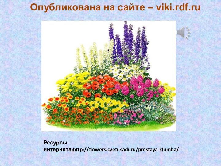Ресурсы интернета:http://flowers.cveti-sadi.ru/prostaya-klumba/Опубликована на сайте – viki.rdf.ru