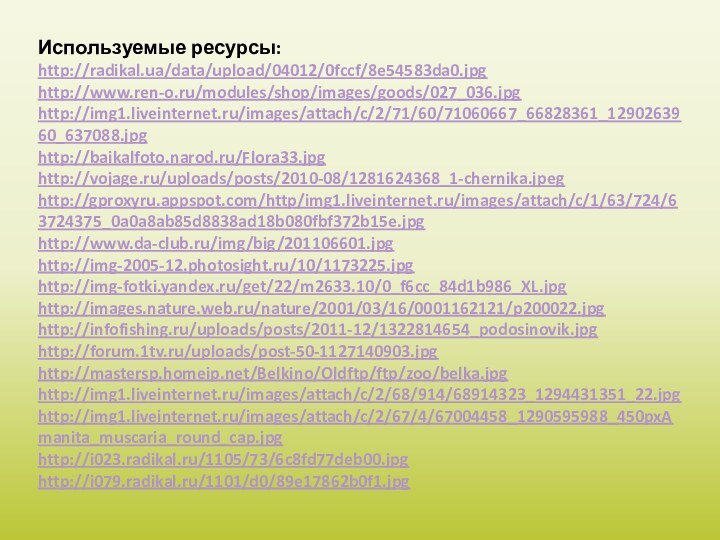Используемые ресурсы:http://radikal.ua/data/upload/04012/0fccf/8e54583da0.jpghttp://www.ren-o.ru/modules/shop/images/goods/027_036.jpghttp://img1.liveinternet.ru/images/attach/c/2/71/60/71060667_66828361_1290263960_637088.jpghttp://baikalfoto.narod.ru/Flora33.jpghttp://vojage.ru/uploads/posts/2010-08/1281624368_1-chernika.jpeghttp://gproxyru.appspot.com/http/img1.liveinternet.ru/images/attach/c/1/63/724/63724375_0a0a8ab85d8838ad18b080fbf372b15e.jpghttp://www.da-club.ru/img/big/201106601.jpghttp://img-2005-12.photosight.ru/10/1173225.jpghttp://img-fotki.yandex.ru/get/22/m2633.10/0_f6cc_84d1b986_XL.jpghttp://images.nature.web.ru/nature/2001/03/16/0001162121/p200022.jpghttp://infofishing.ru/uploads/posts/2011-12/1322814654_podosinovik.jpghttp://forum.1tv.ru/uploads/post-50-1127140903.jpghttp://mastersp.homeip.net/Belkino/Oldftp/ftp/zoo/belka.jpghttp://img1.liveinternet.ru/images/attach/c/2/68/914/68914323_1294431351_22.jpghttp://img1.liveinternet.ru/images/attach/c/2/67/4/67004458_1290595988_450pxAmanita_muscaria_round_cap.jpghttp://i023.radikal.ru/1105/73/6c8fd77deb00.jpghttp://i079.radikal.ru/1101/d0/89e17862b0f1.jpg