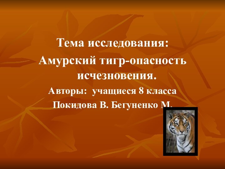 Тема исследования:Амурский тигр-опасность исчезновения. Авторы: учащиеся 8 классаПокидова В. Бегуненко М.