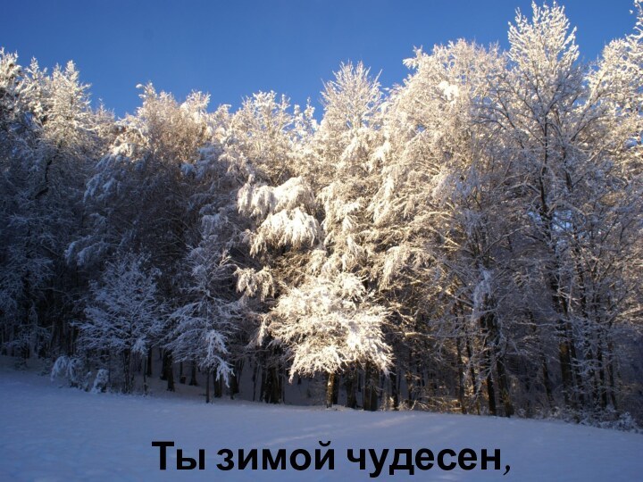 Ты зимой чудесен,