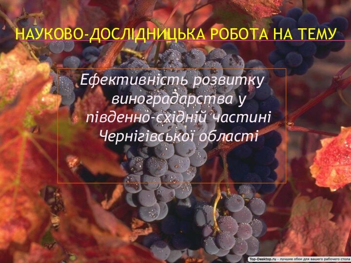 НАУКОВО-ДОСЛІДНИЦЬКА РОБОТА НА ТЕМУ Ефективність розвитку виноградарства у південно-східній частині Чернігівської області