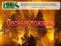 Лесные пожары и их последствия