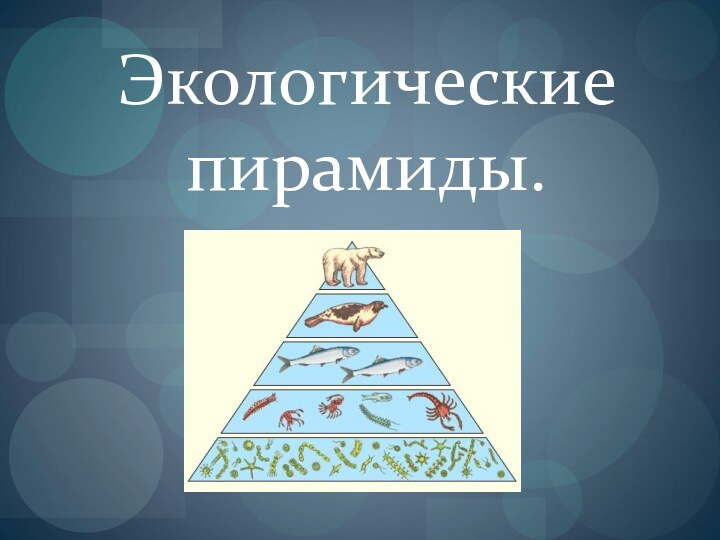 Экологические пирамиды.