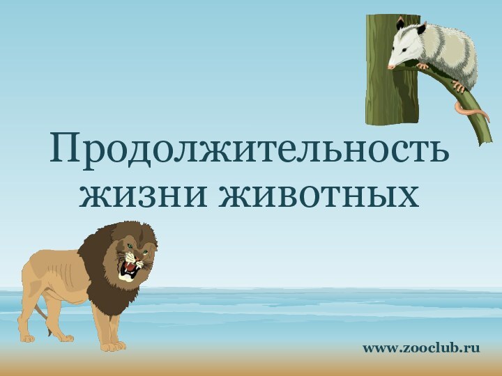 Продолжительность жизни животныхwww.zooclub.ru