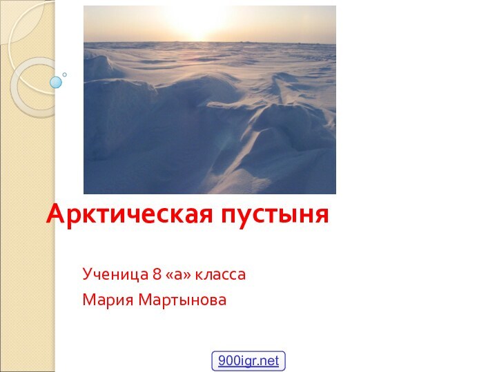 Арктическая пустыня Ученица 8 «а» классаМария Мартынова