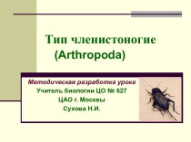 Тип членистоногие (Arthropoda)