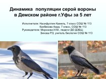 Динамика популяции серой вороны в Демском районе г.Уфы за 5 лет