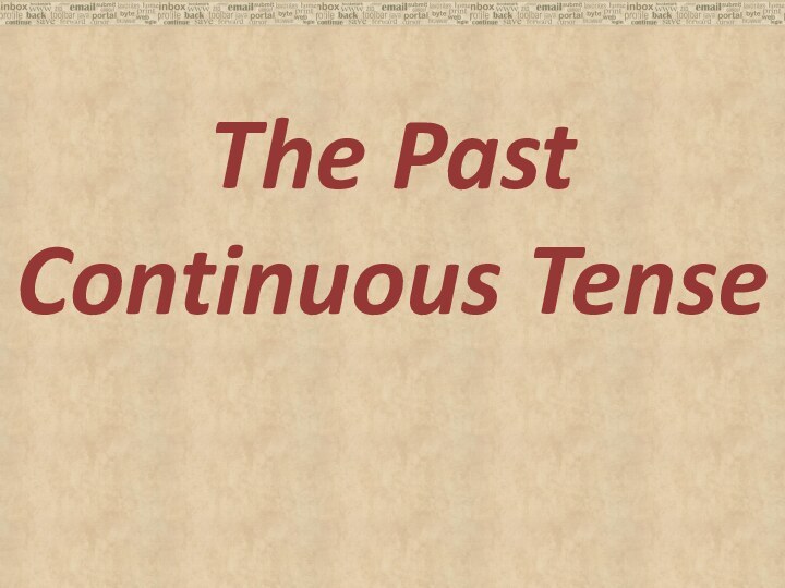 The Past  Continuous Tense