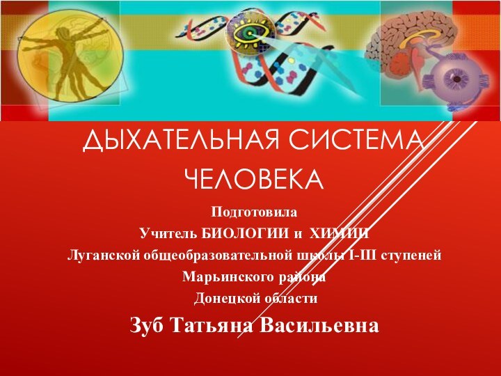 Дыхательная система человека Подготовила  Учитель БИОЛОГИИ и ХИМИИ Луганской общеобразовательной школы