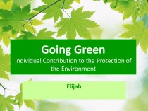 Going Green: Individual Contribution to the Protection of the Environment