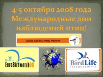 4-5 октября 2008 года Международные дни наблюдений птиц!