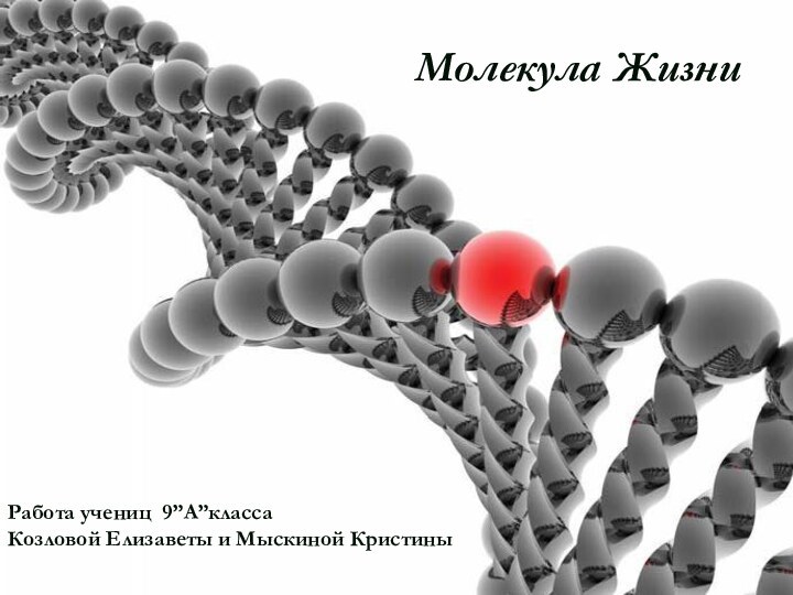 ДНК.ДНКРабота учениц 9”А”классаКозловой Елизаветы и Мыскиной КристиныМолекула Жизни
