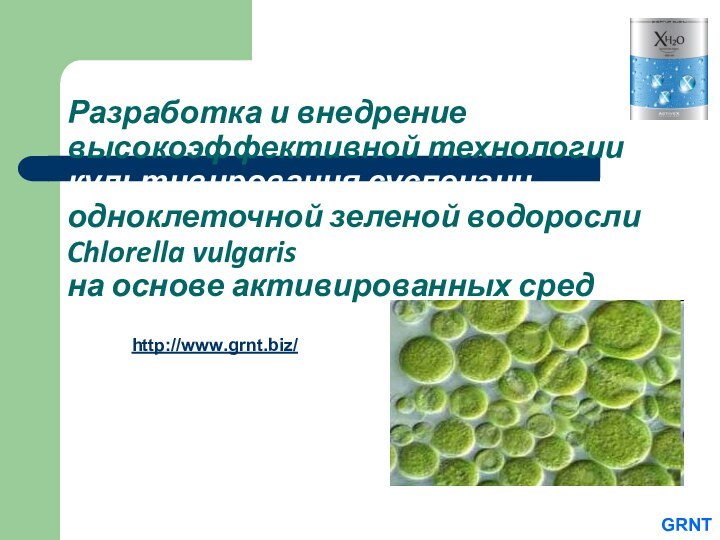 Разработка и внедрение высокоэффективной технологии культивирования суспензии одноклеточной зеленой водоросли  Chlorella