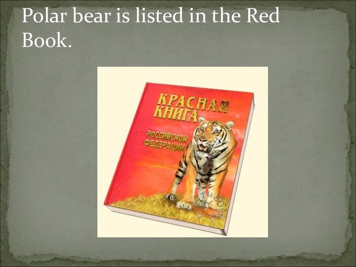 Polar bear is listed in the Red Book.