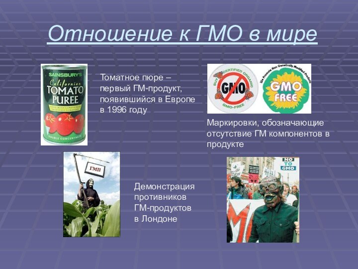 Отношение к ГМО в миреТоматное пюре – первый ГМ-продукт,появившийся в Европев 1996