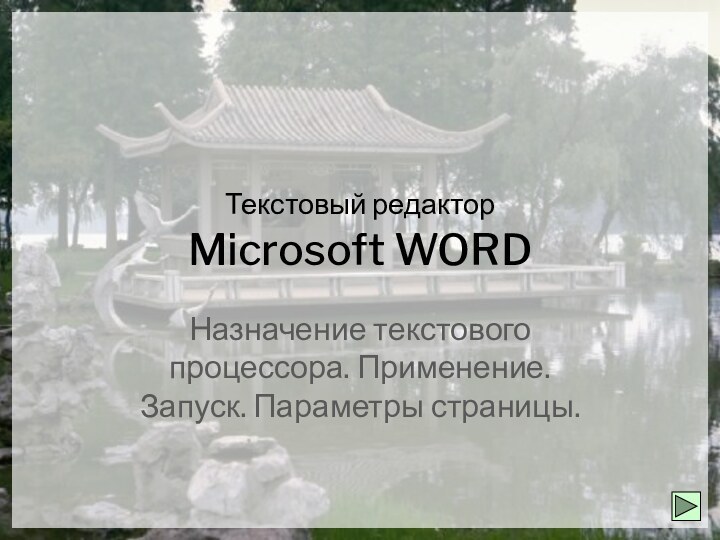 Текстовый редактор  Microsoft WORDНазначение текстового процессора. Применение. Запуск. Параметры страницы.