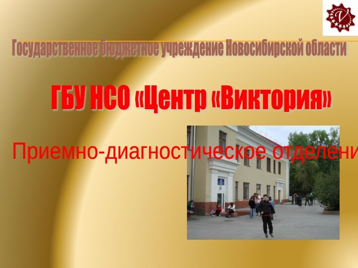 Государственное бюджетное учреждение Новосибирской области ГБУ НСО «Центр «Виктория» Приемно-диагностическое отделение