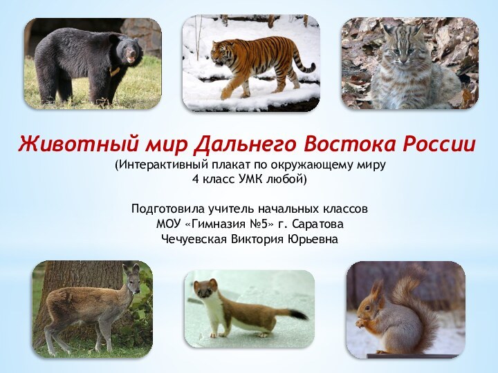 Животный мир Дальнего Востока России(Интерактивный плакат по окружающему миру4 класс УМК любой)Подготовила