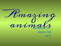 Amazing animals