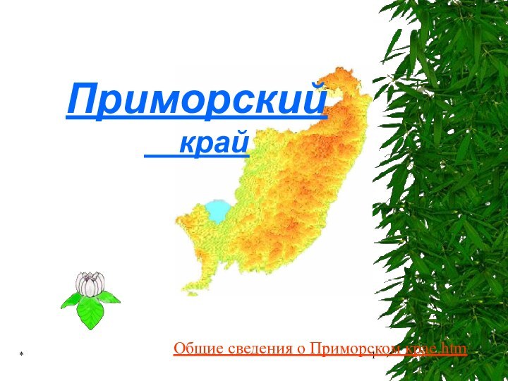 *Приморский    крайОбщие сведения о Приморском крае.htm