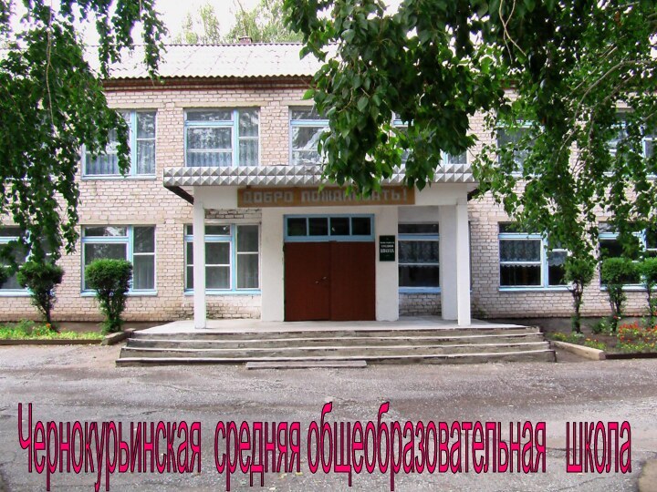 Чернокурьинская средняя общеобразовательная  школа