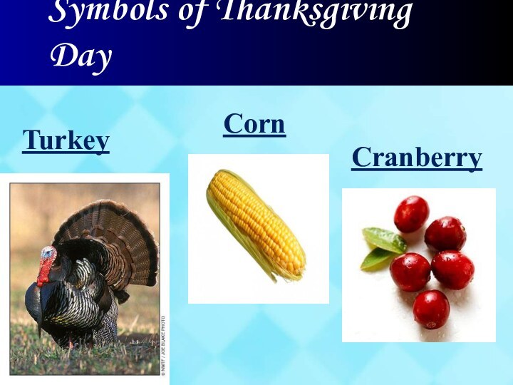 Symbols of Thanksgiving DayTurkeyCornCranberry