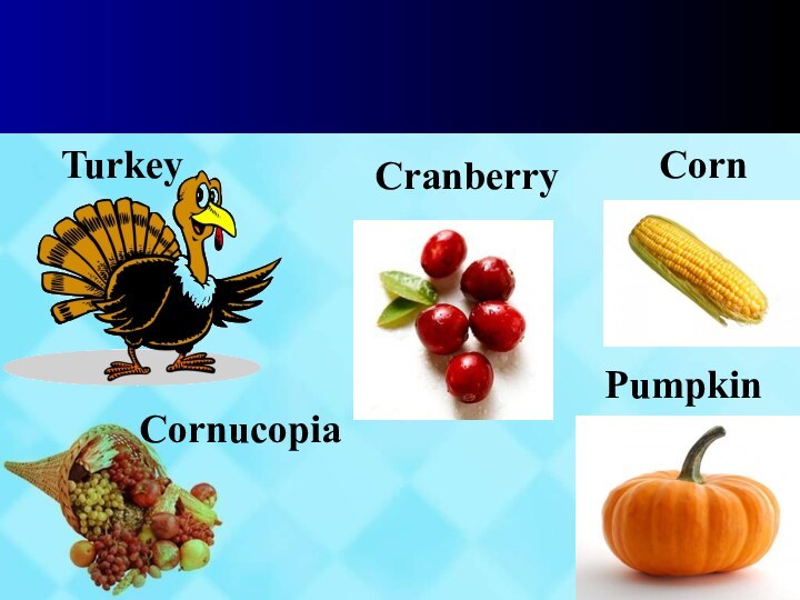 TurkeyCornPumpkinCornucopiaCranberry