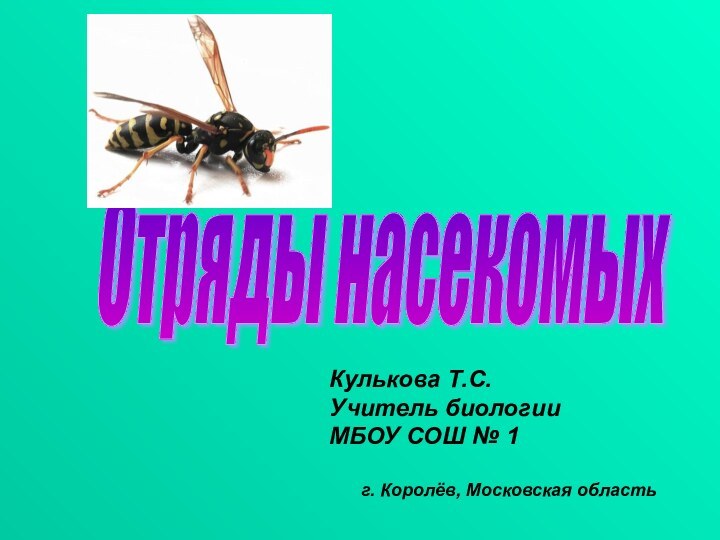Отряды насекомых 				Кулькова Т.С.				Учитель биологии				МБОУ СОШ № 1