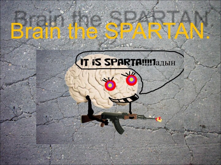 Brain the SPARTAN.