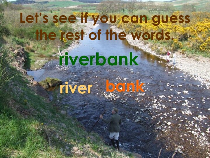 Let’s see if you can guess the rest of the words.riverbankriverbank