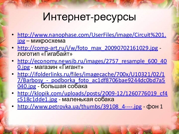 Интернет-ресурсыhttp://www.nanophase.com/UserFiles/image/Circuit%201.jpg – микросхемаhttp://comp-art.ru/i/w/foto_max_20090702161029.jpg - логотип «Гигабайт»http://economy.newsib.ru/images/2757_resample_600_400.jpg - магазин «Гигант»http://ifolderlinks.ru/files/imagecache/700x/U10321/02/17/Barbosy_-_podborka_foto_ac1df8706bae9244dc0bd7a5040.jpg - большая собакаhttp://klopik.com/uploads/posts/2009-12/1260776019_cf4c518c1dde1.jpg