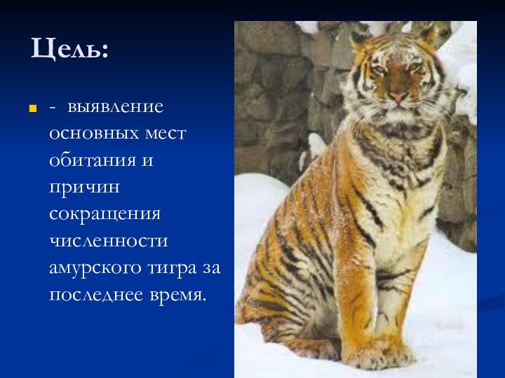 Цель:- выявление основных мест обитания и причин сокращения численности амурского тигра за последнее время.