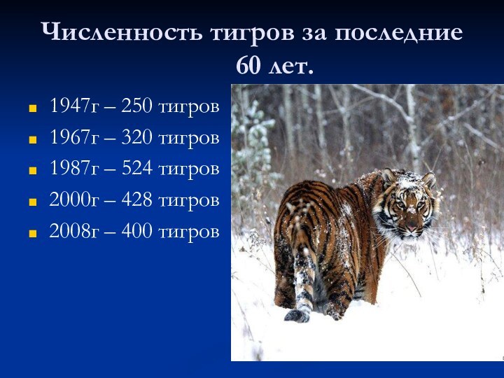 Численность тигров за последние 60 лет.1947г – 250 тигров1967г – 320 тигров1987г