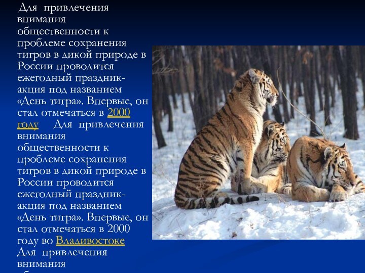 Для привлечения внимания общественности к проблеме сохранения тигров в