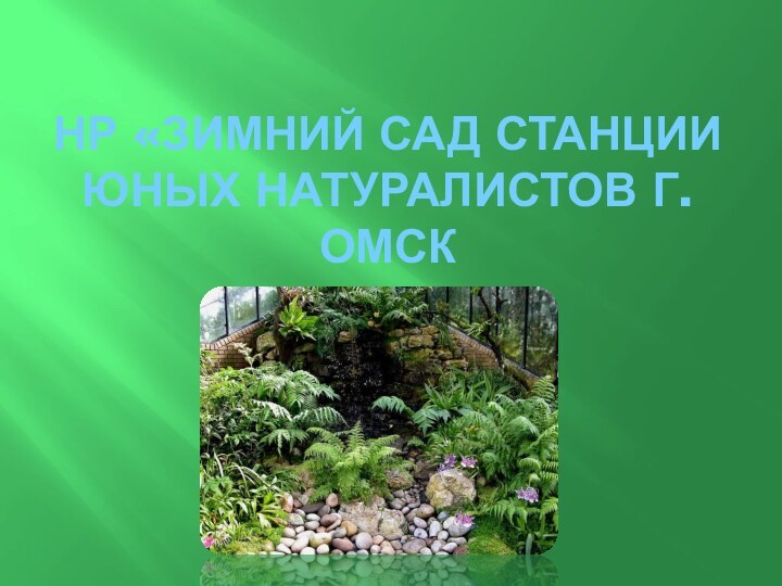 НР «Зимний сад Станции юных натуралистов г. Омск