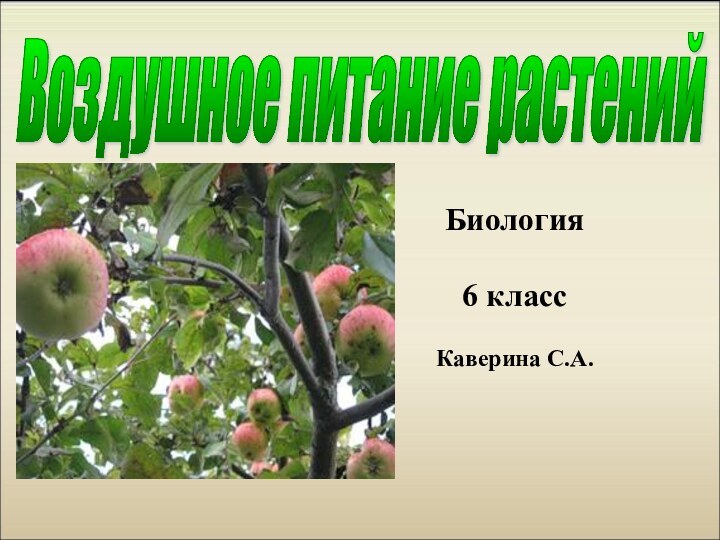 Воздушное питание растений Биология6 классКаверина С.А.
