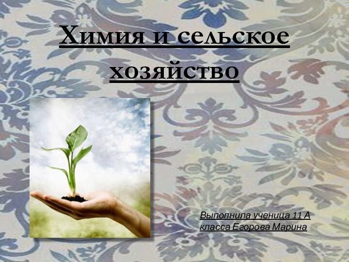 Химия и сельское хозяйствоВыполнила ученица 11 А класса Егорова Марина