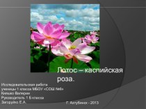 Лотос — Каспийская роза