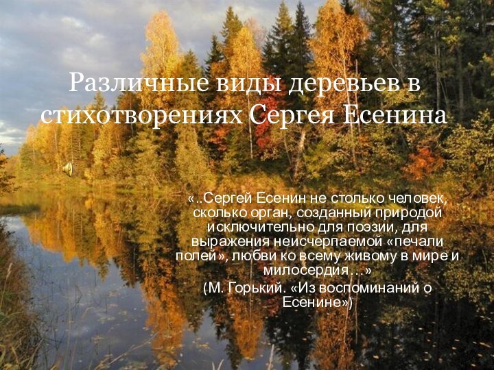 Различные виды деревьев в стихотворениях Сергея Есенина«..Сергей Есенин не столько человек, сколько