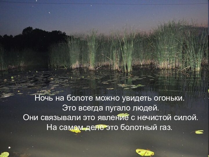Ночь на болоте можно увидеть огоньки. Это всегда пугало людей. Они связывали