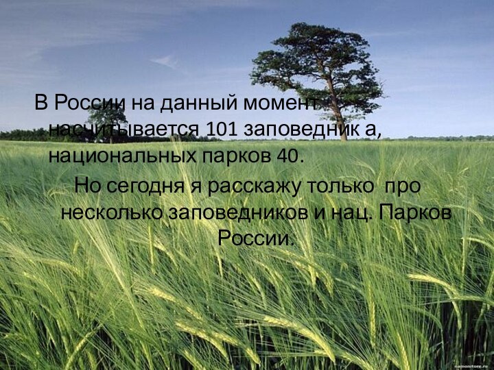 В России на данный момент насчитывается 101 заповедник а, национальных парков