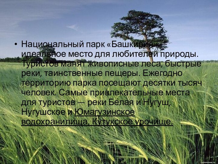 Национальный парк «Башкирия» — идеальное место для любителей природы. Туристов манят живописные