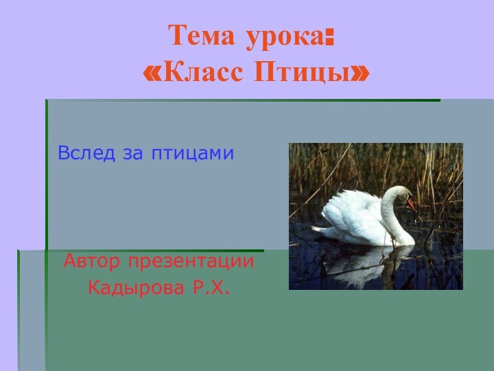 Тема урока:  «Класс Птицы»Вслед за птицамиАвтор презентацииКадырова Р.Х.