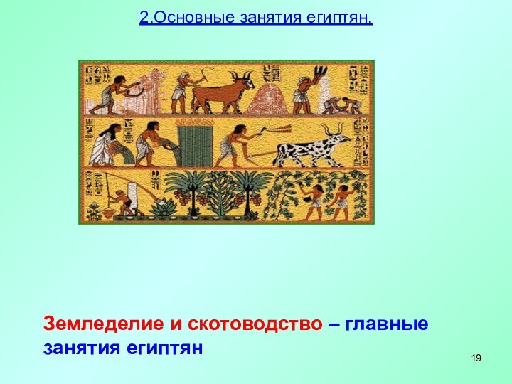 Земледелие и скотоводство – главные занятия египтян2.Основные занятия египтян.