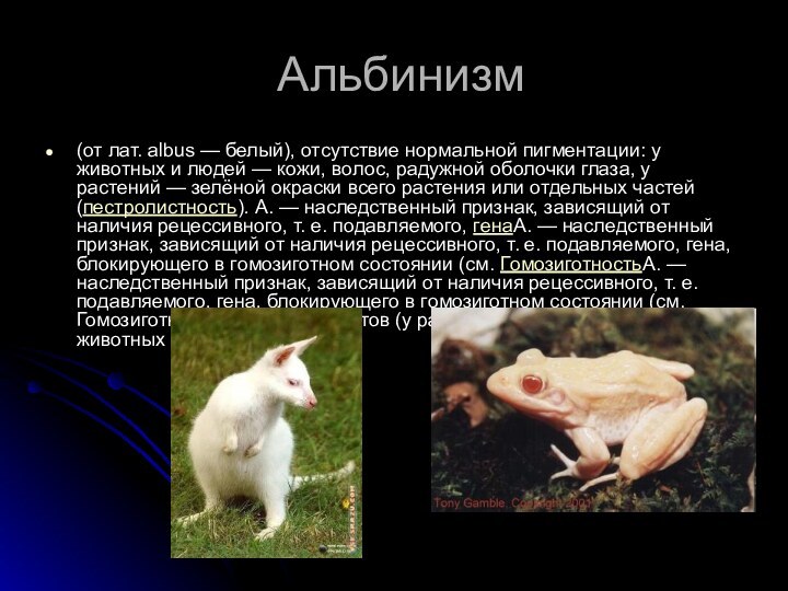 Альбинизм(от лат. albus — белый), отсутствие нормальной пигментации: у животных и людей