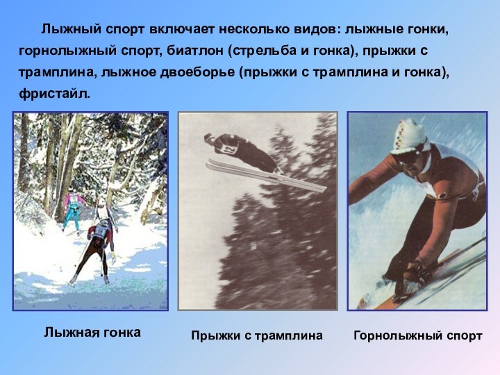 Лыжный спорт включает несколько видов: лыжные гонки, горнолыжный спорт,