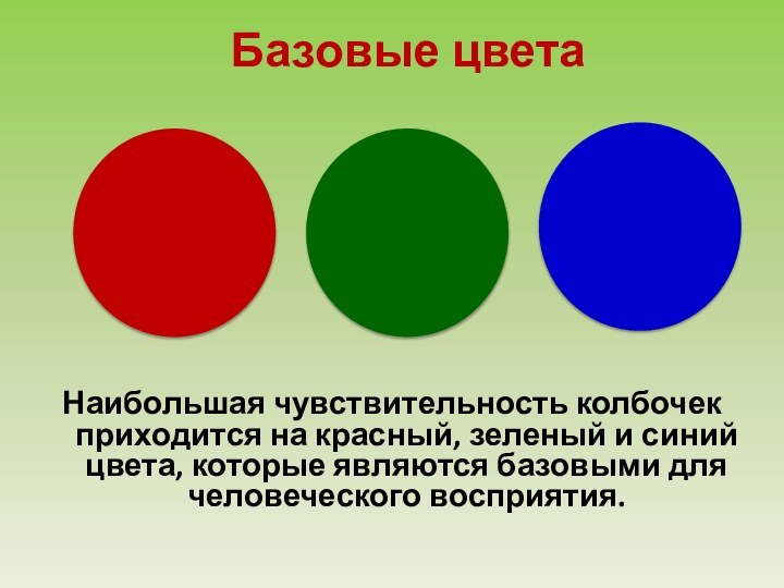 Базовые цветаНаибольшая чувствительность колбочек приходится на красный, зеленый и синий цвета,